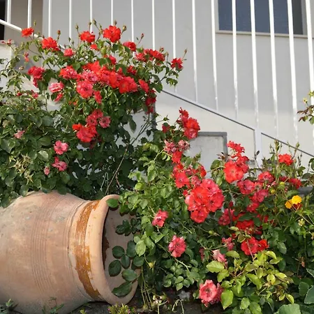 Agriturismo Le 5 Pietre *